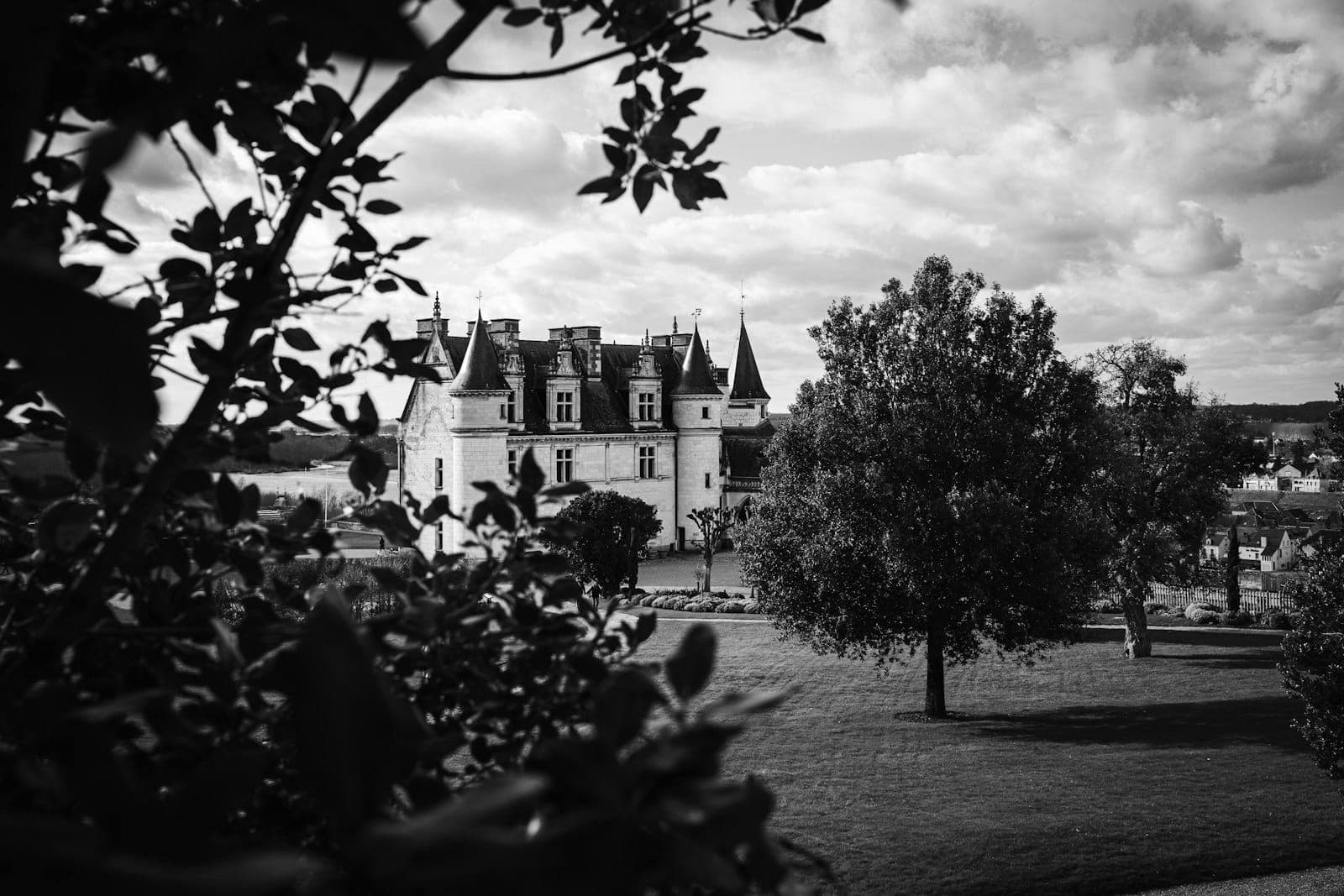 Château de Martinay seen through the trees